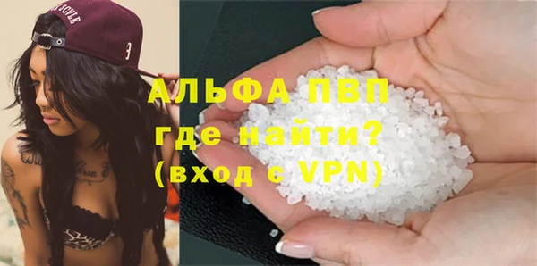 индика Сосновый Бор