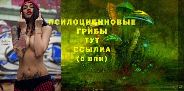дурь Михайлов