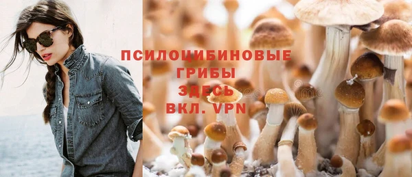 дурь Михайлов