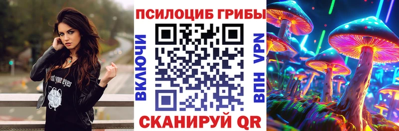 Псилоцибиновые грибы ЛСД  Новокузнецк 
